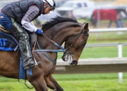 九游体育直播-意大利网球队轻取法国网球队，克耶高斯绝境逆转