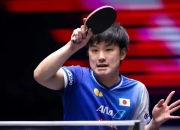 九游体育直播-日本乒乓球队绝杀奥地利乒乓球队，张本智和送出助攻的简单介绍