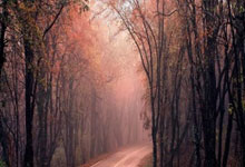 九游体育平台-勒布朗王朝危机！西甲乱世双城记