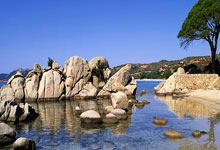 九游体育平台-铁蹄踏碎蓝衫梦！法兰西青春风暴颠覆亚平宁王权