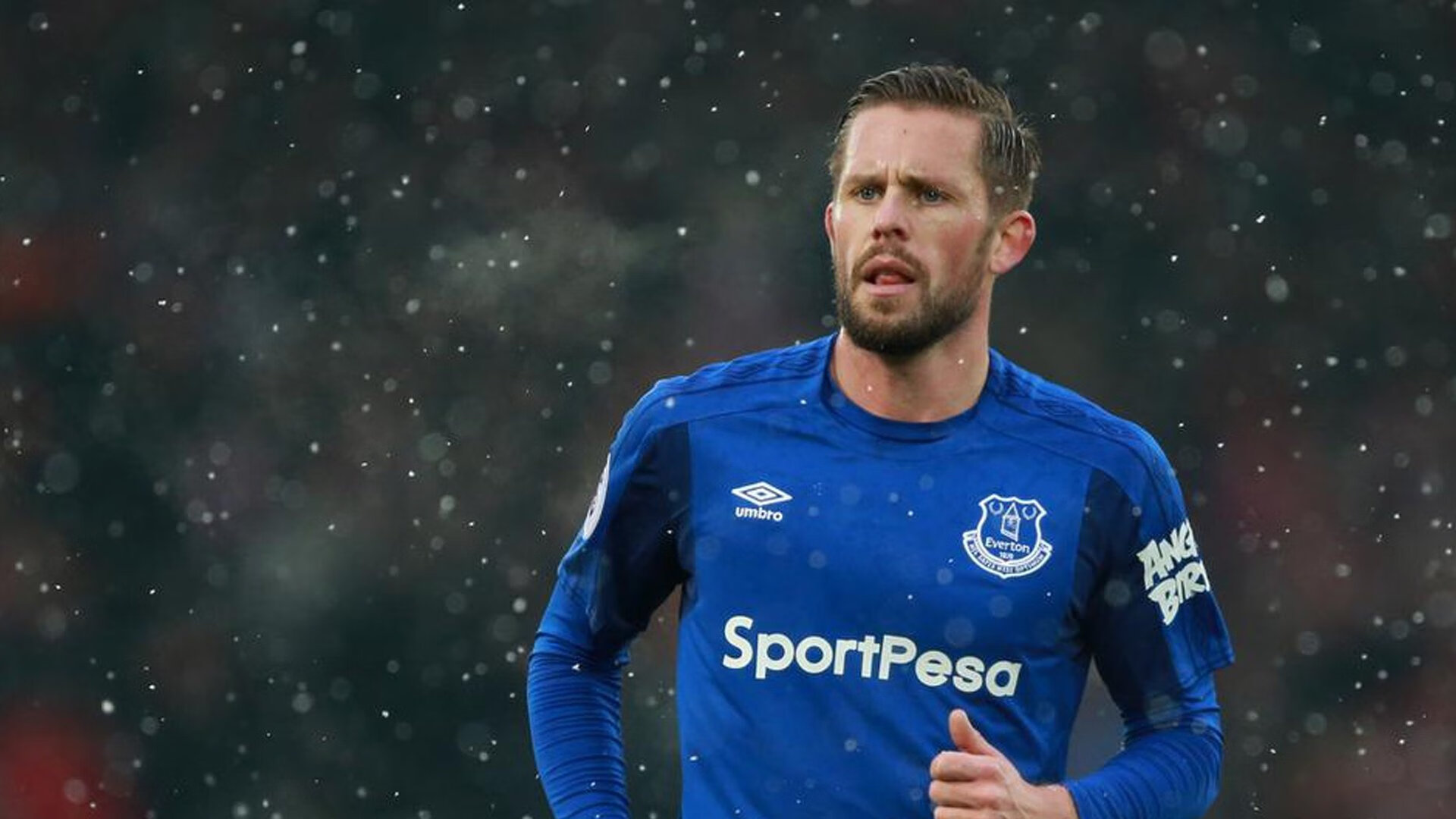 冰与火之歌,爱德华兹的狂飙与雄鹿的燎原之势